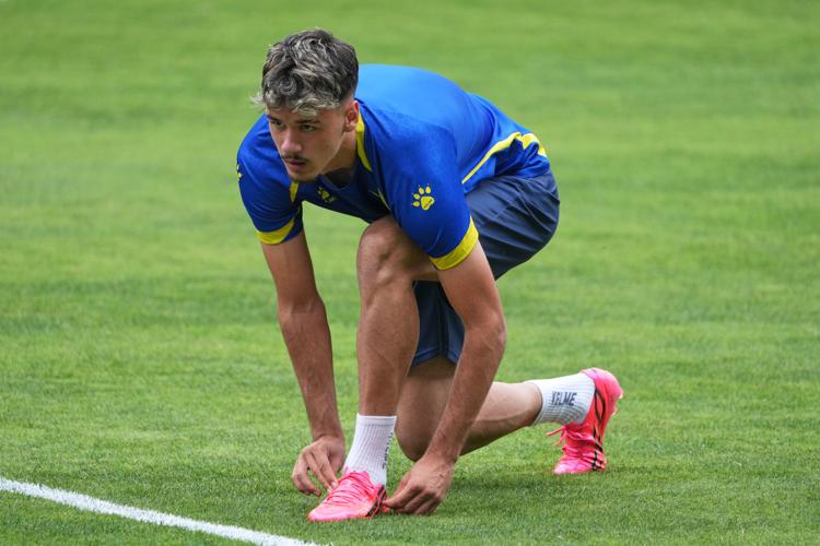 WCup Bosnia In America Soccer
