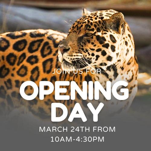 Animal Ark Opening Day
