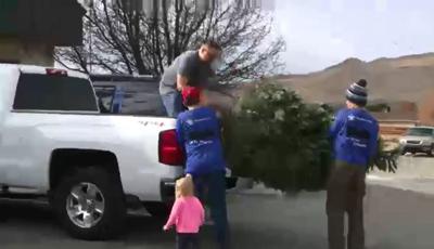 Boy Scouts Selling Christmas Trees to Raise Funds