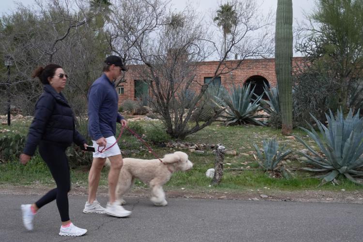 Savannah Guthrie Mom Missing