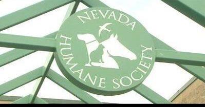Nevada Humane Society Announces Interim CEO - Vimarsana News