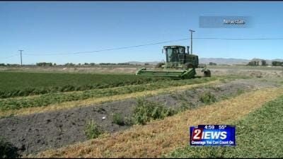 Nevada Ranchers Can Apply for Drought Assistance