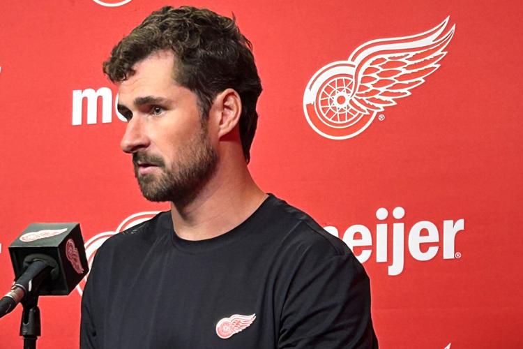 Red Wings Larkin Hockey