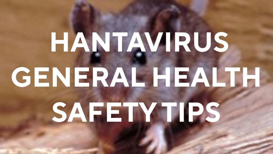 Hantavirus general health safety tips