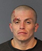 Reno Man Faces 15 Years In Prison For Stolen Vehicle
