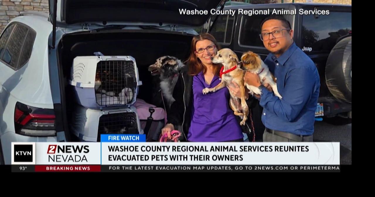 Washoe County Regional Animal Services reuniting pets with their owners