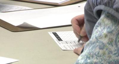 No In-Person Voting in June 2020 Primary Election