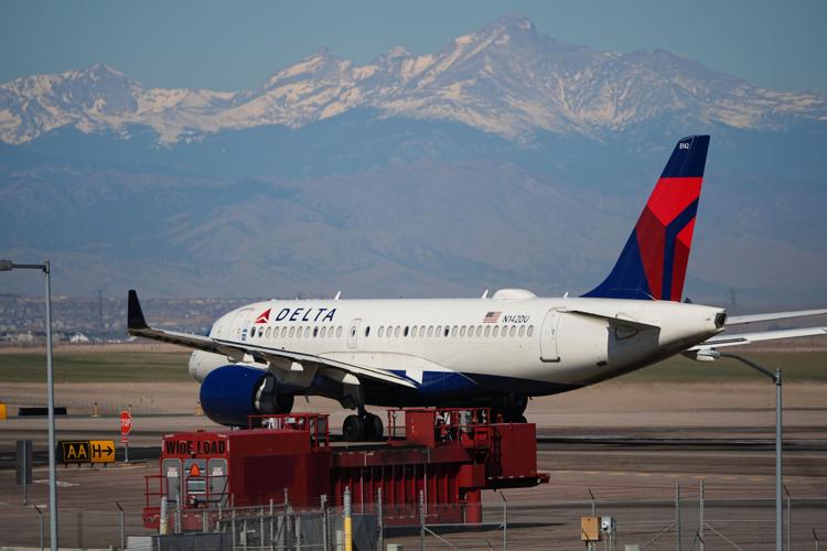 Delta Air Lines Bag Fees
