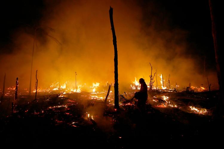 Brazil Amazon Deforestation Wildfires