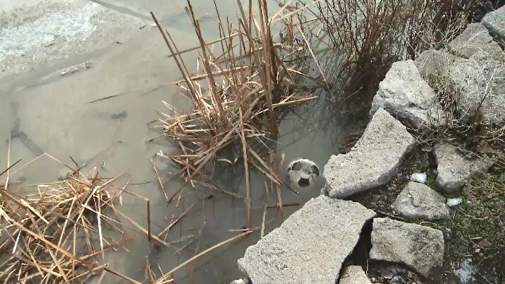 Reno Neighborhoods Clean Up After Floods