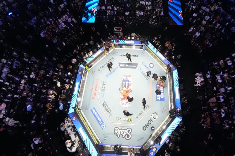 UFC Freedom 250