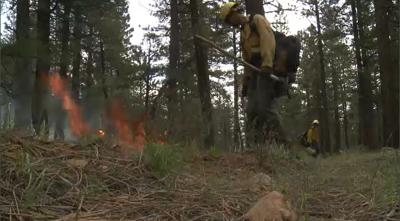 U.S. Forest Service Spring Cleaning with Fire