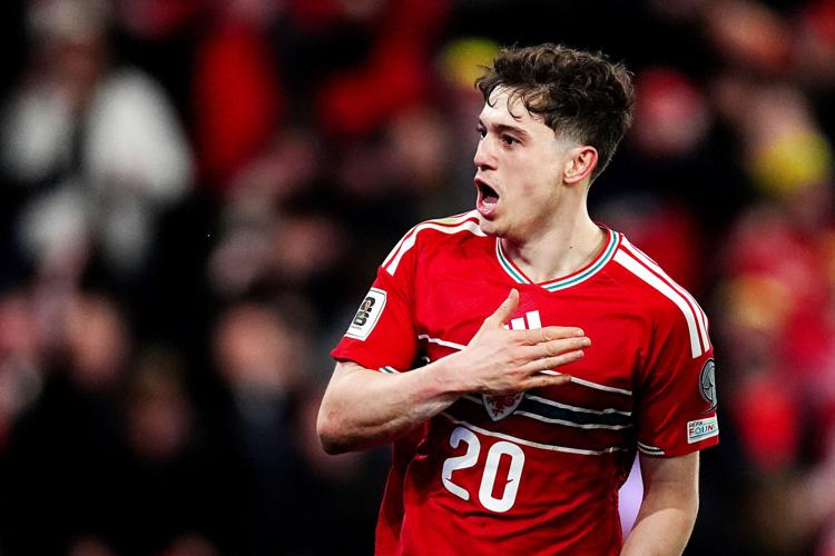 Wales Bosnia WCup Soccer