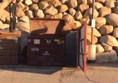 Truckee Police Recognized By PETA For Bear Cub Rescues