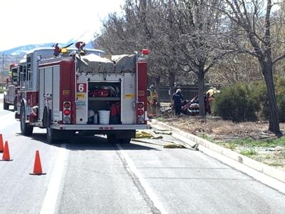 Driver Cited After Hitting Tree Near Longley Lane And Maestro Drive