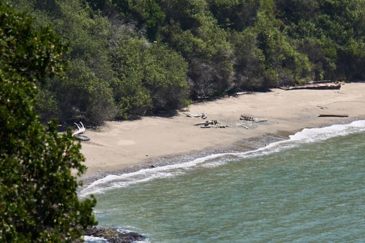 Climate Heat California Whale Death