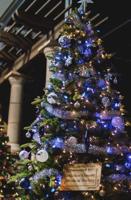 Festival of Trees Auction and Fundraiser at Moana Nursery South