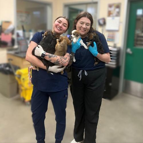 NHS team members.jpg