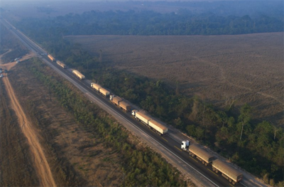 Top Brazil Official Says No Halt to Amazon Protections