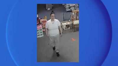 Carson City - Larceny Suspect - 6-10