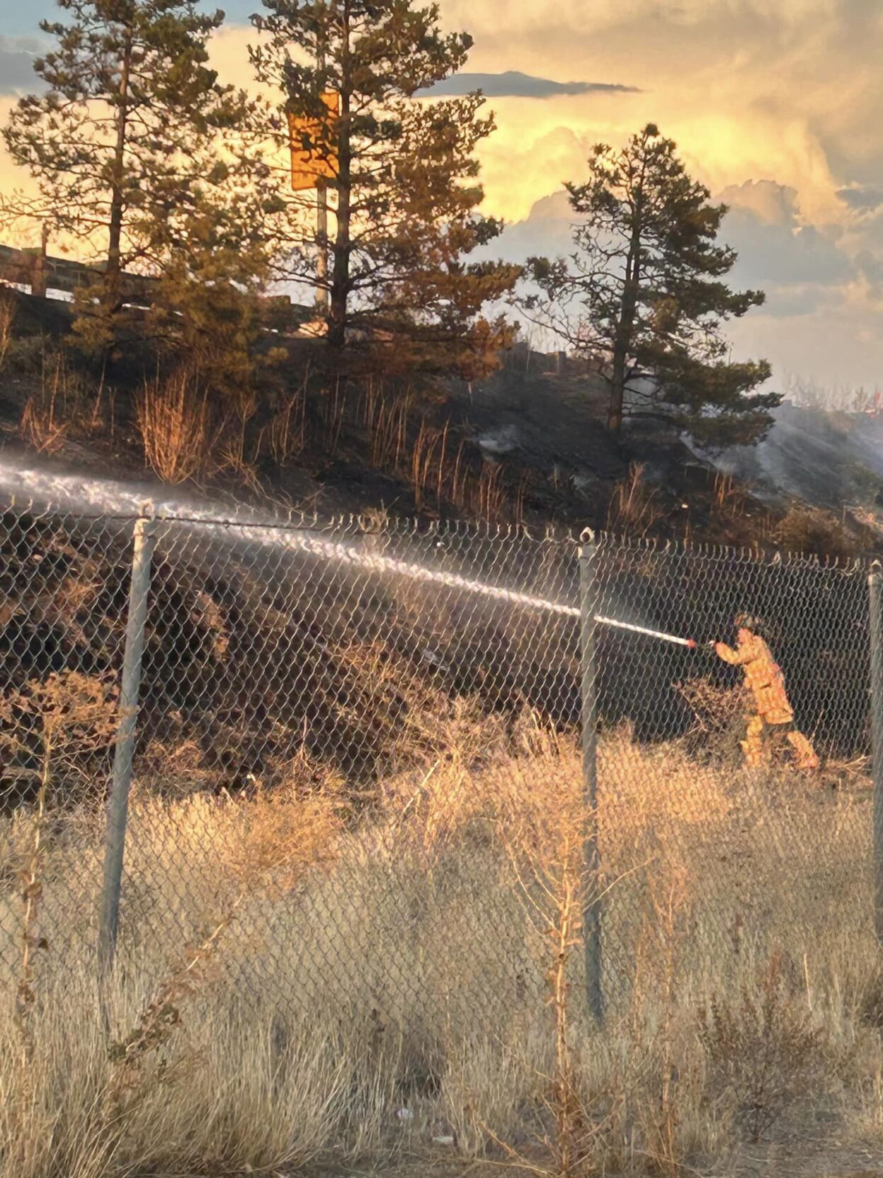 Person Arrested In Connection To Multiple Brushfires Set Friday Night ...