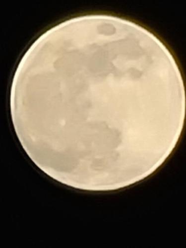 Last Super Moon of 2020