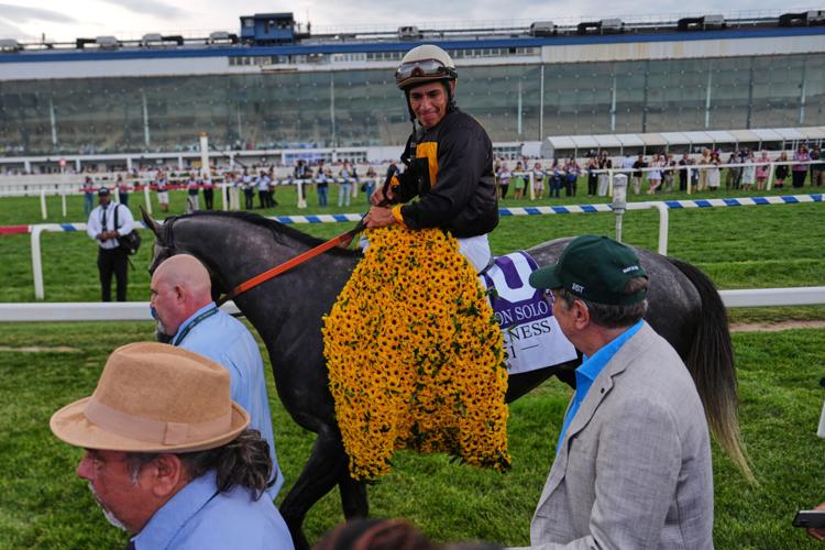 Preakness Horse Racing