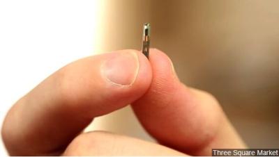 Bill Banning Forced Microchipping Heard by Nevada Lawmakers