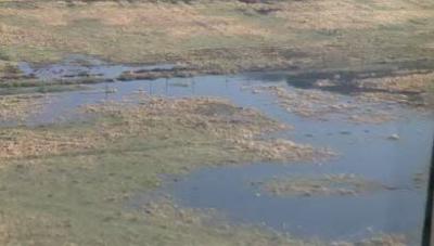 South Meadows Mosquito Test Finds West Nile Virus