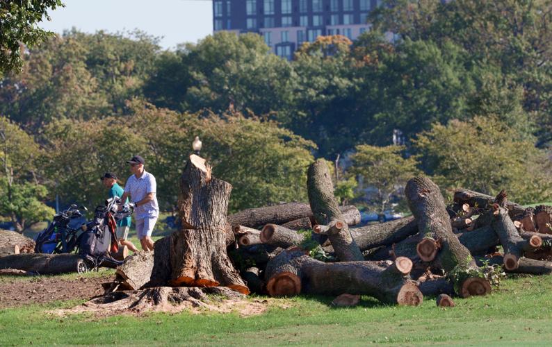 Trump Golf Course