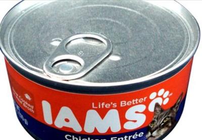 Nevada Humane Society Requests Cat Food Donations