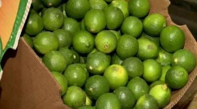 Lime Shortage Affecting Several Local Restaurants, Bars