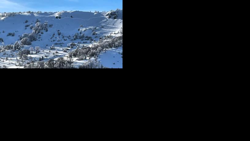 Avalanche near Mt. Rose