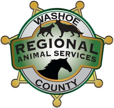 Washoe County to Offer Free Microchips Through January 2016