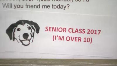 November is Adopt a Senior Pet Month