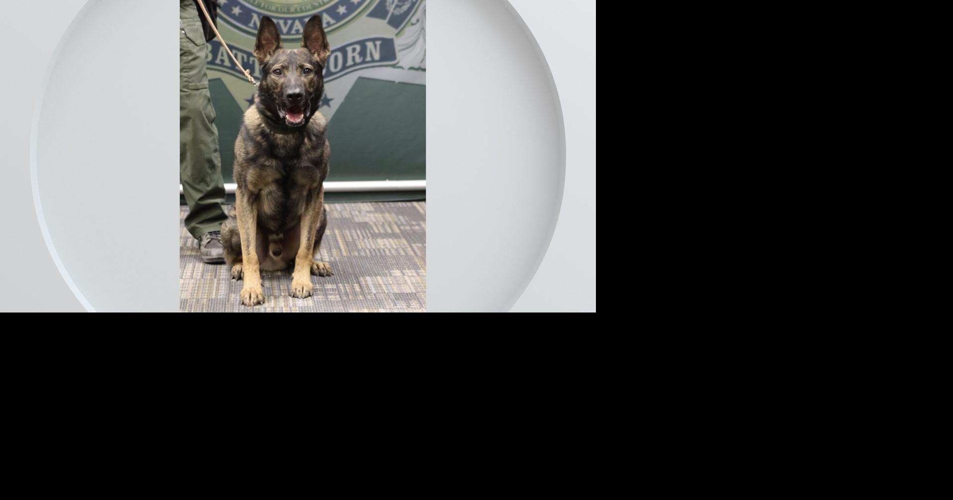 Lyon County Sheriff welcomes K9 Joker to the team