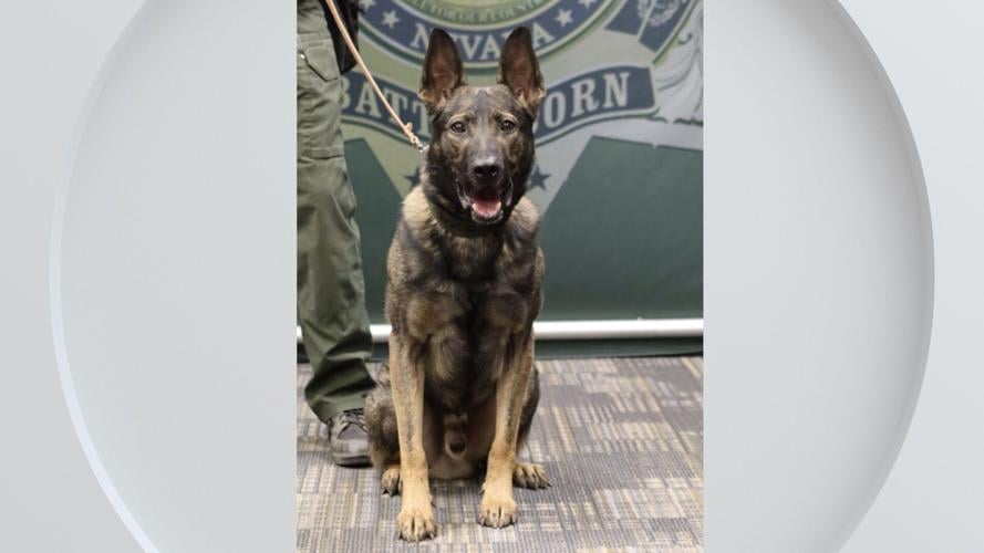Lyon County K9 1