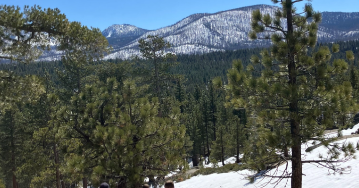 South Lake Tahoe Man Arrested After Allegedly Fleeing from Deputies ...