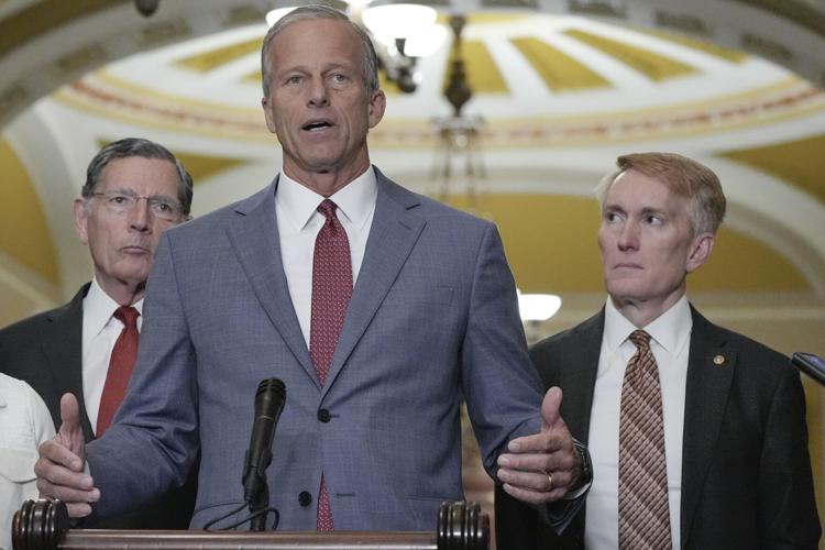 Senate Republicans