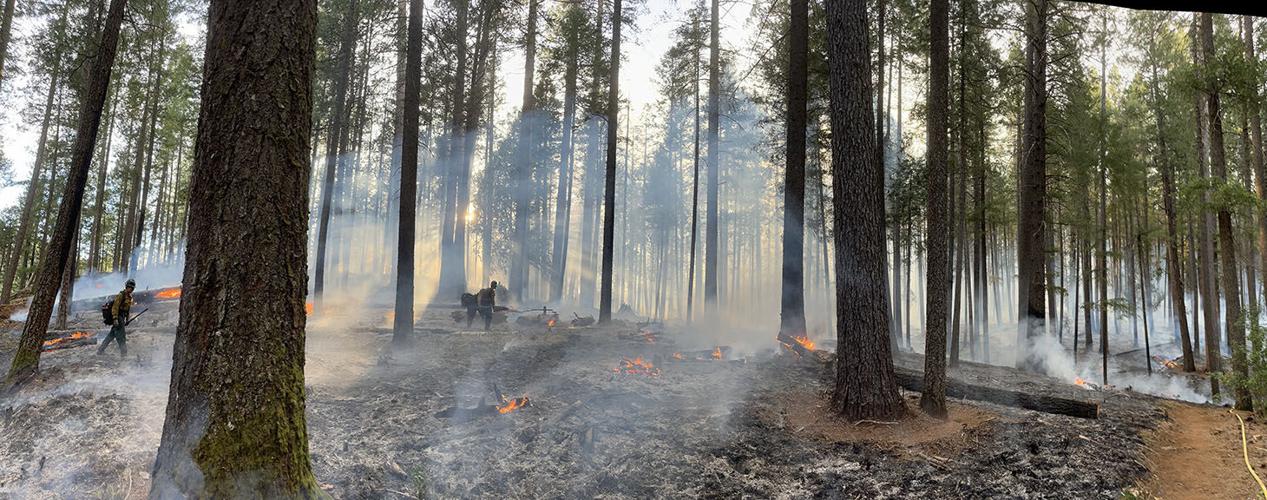 050725 Paradise Lake Prescribed Burn 1-R.jpg