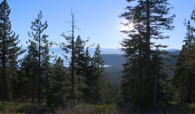 Old Cabins Demolished at Lake Tahoe's Cal Neva Lodge