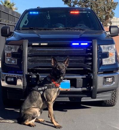 Nevada Department of Public Safety Welcomes New K9