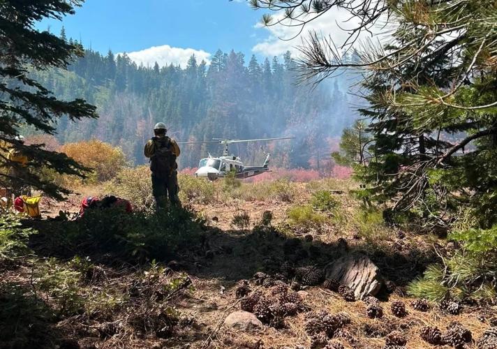 Hunter Fire Big 3.JPG