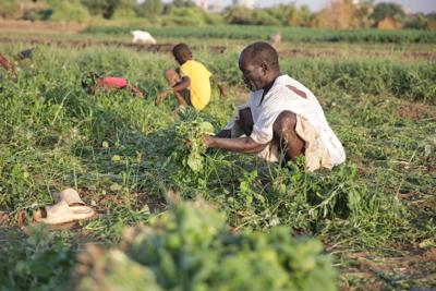 Sudan Daily Life