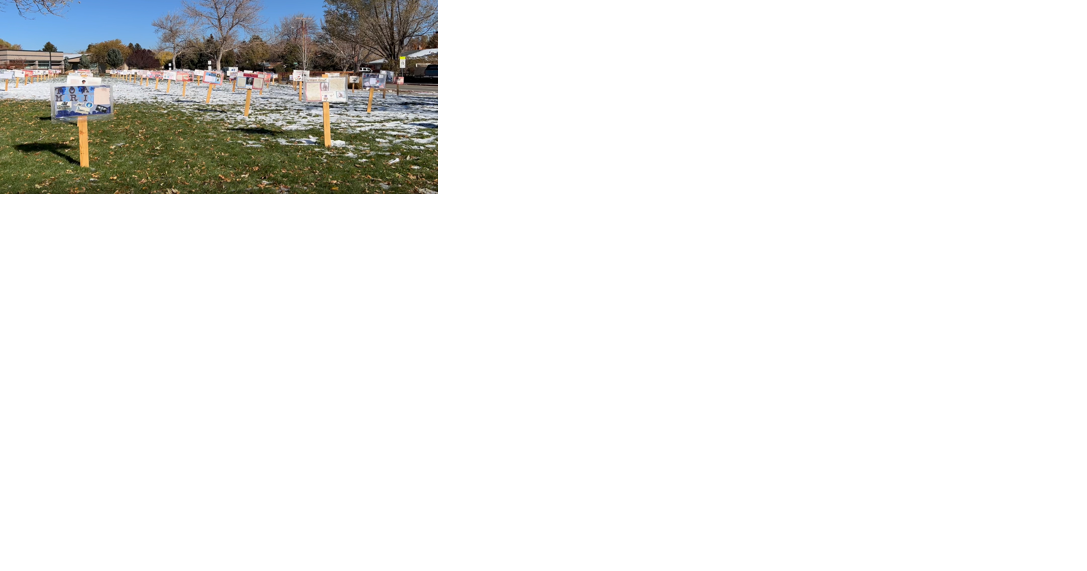Carson City Schools Salute Veterans with Events and Displays - Vimarsana News