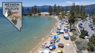 NDOW Sand Harbor.jpg