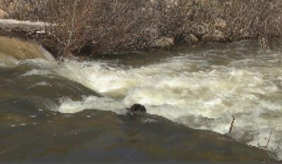 Flood Watch and Snowmelt