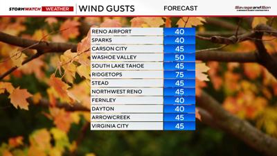 Neighborhood wind forecast