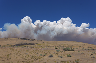 Hawk Fire