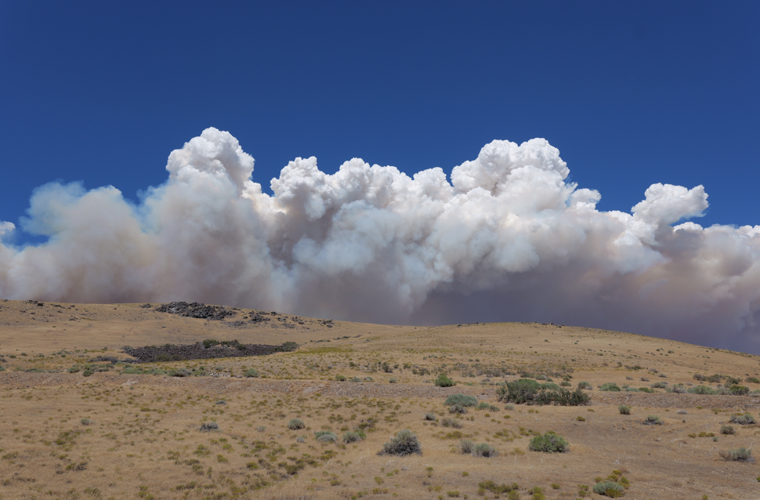 Hawk Fire